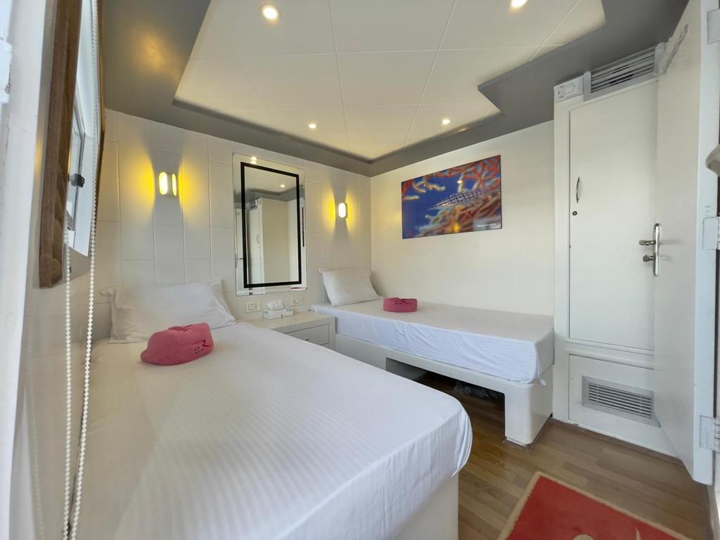 New Regency 8